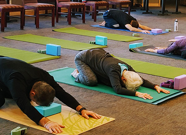 in-person yoga classes at Spray Lakes Sawmills in cochrane near calgary.